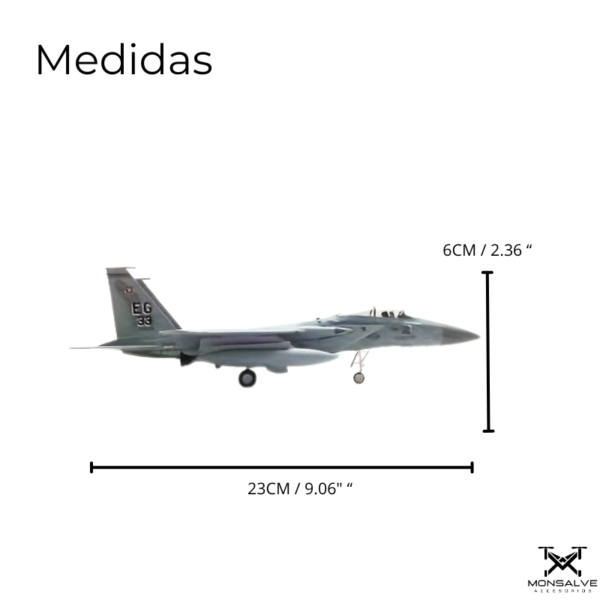 McDonnell Douglas F-15 escala 1:100