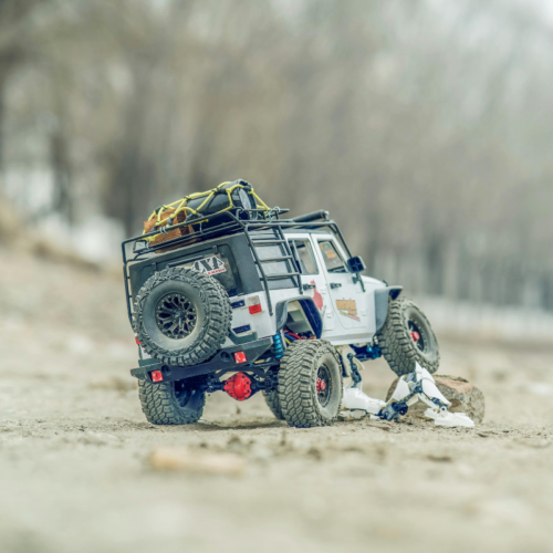 Carros a Radio control